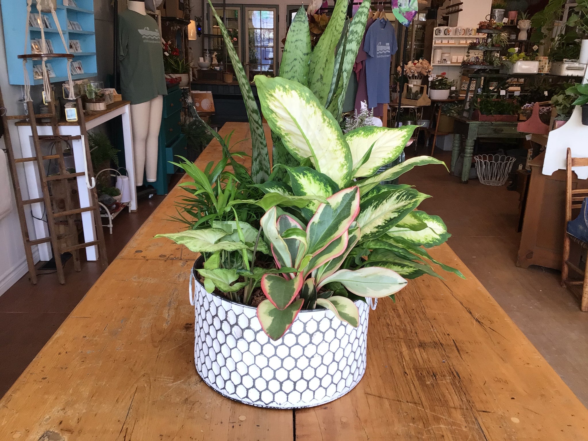 Honeycomb Tin Planter