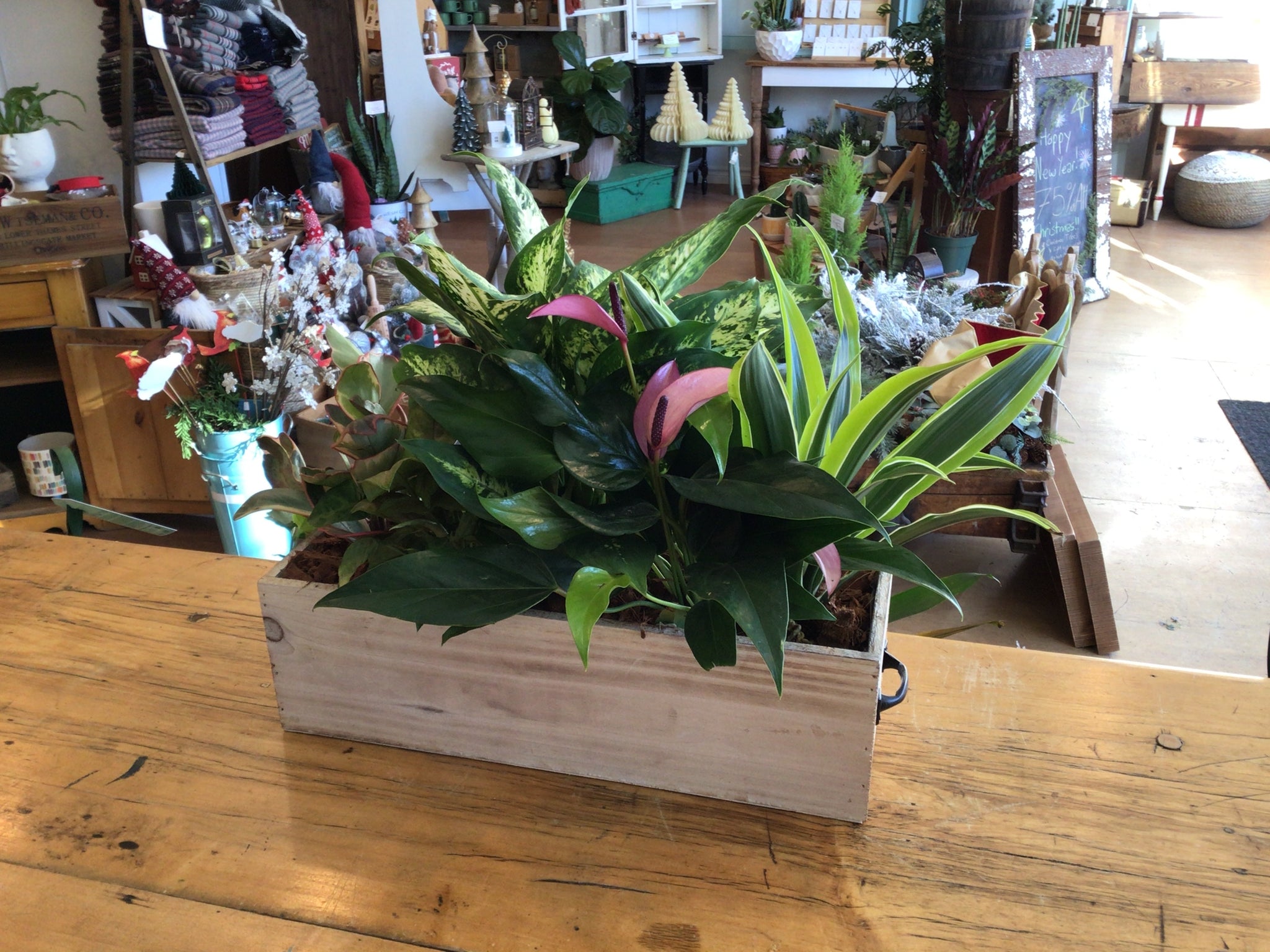 Rustic wooden box planter