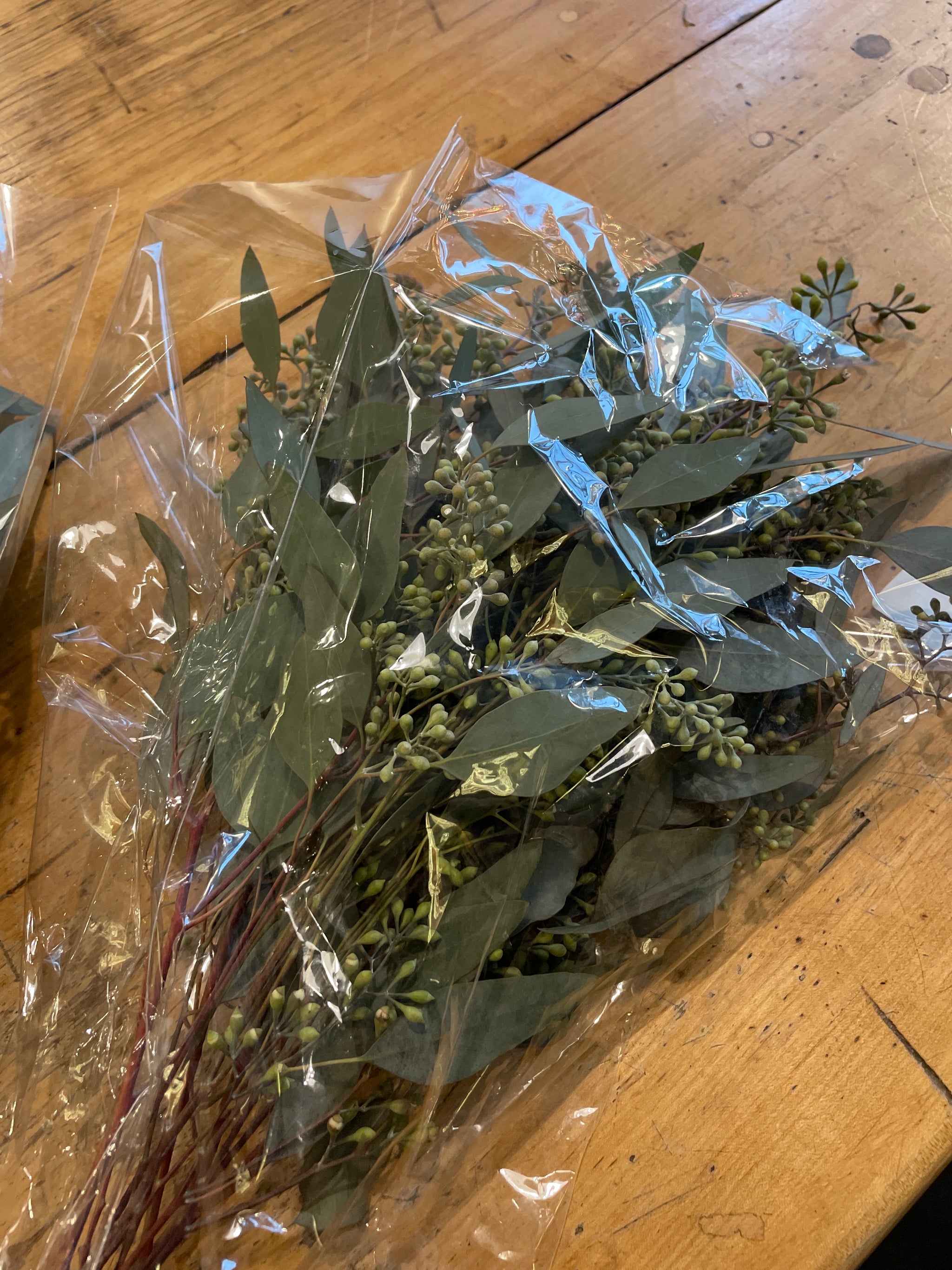 Seeded Eucalyptus Bunch