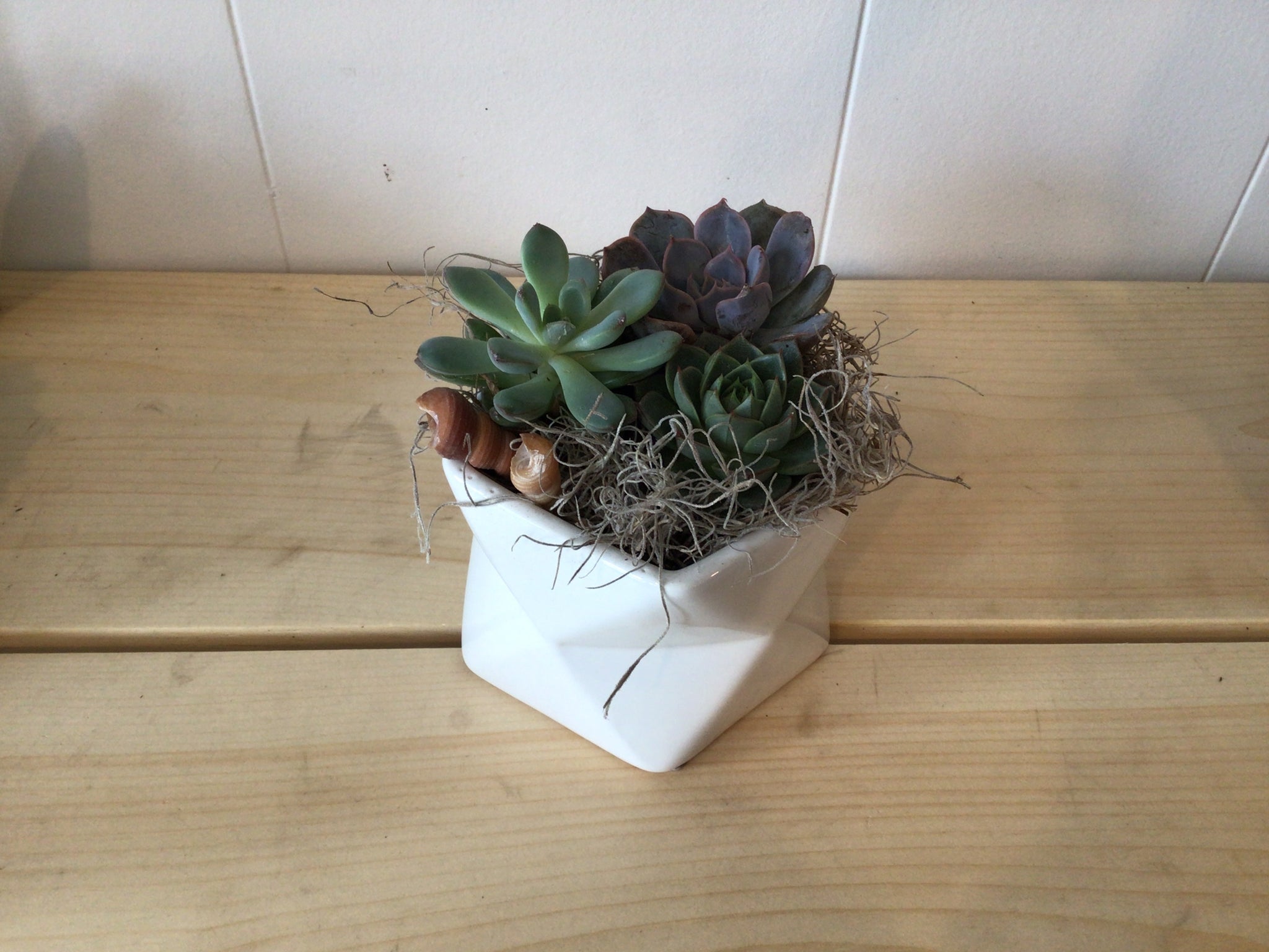 Geometric succulent planter
