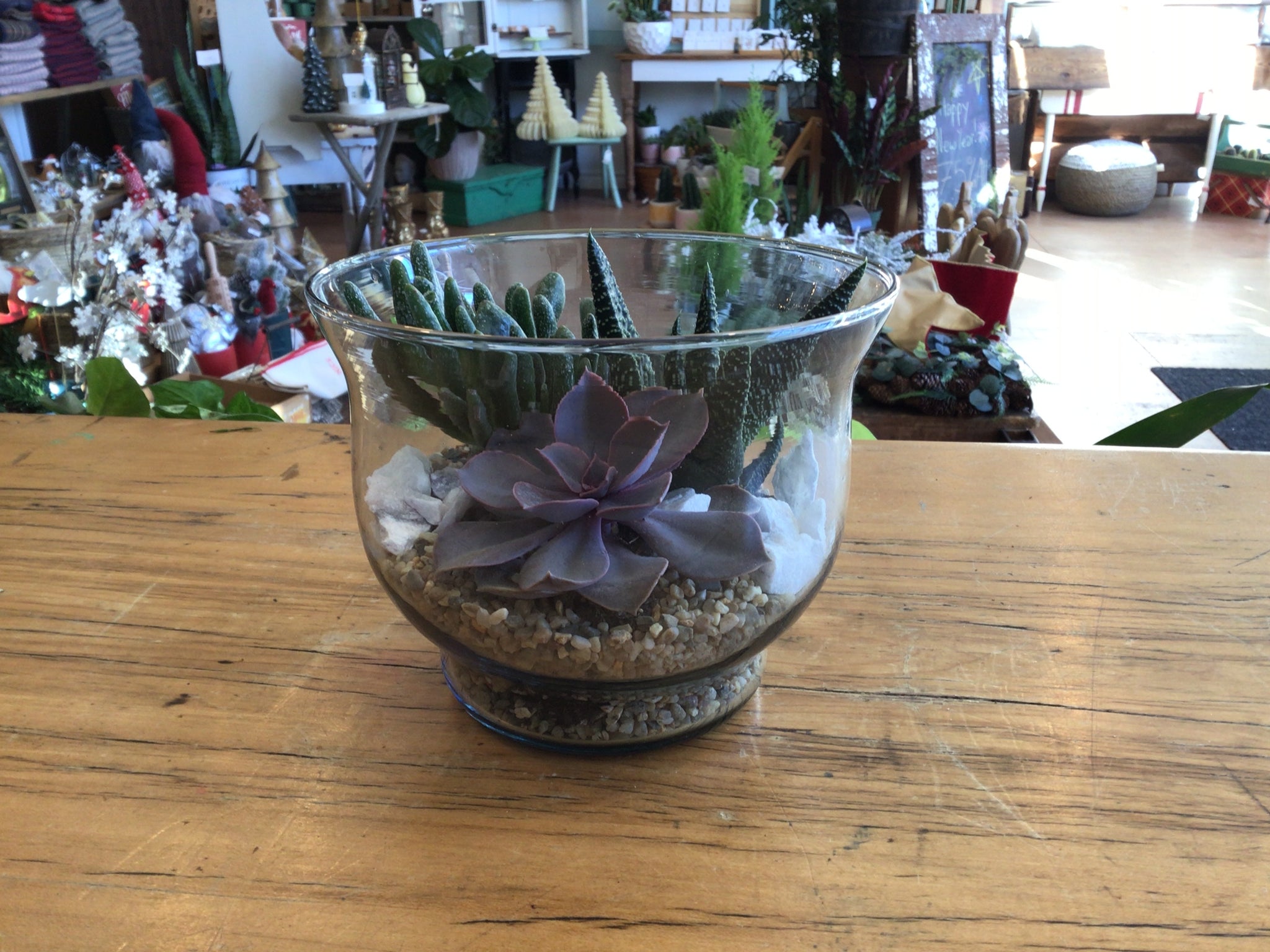 Succulent Terrarium Bowl