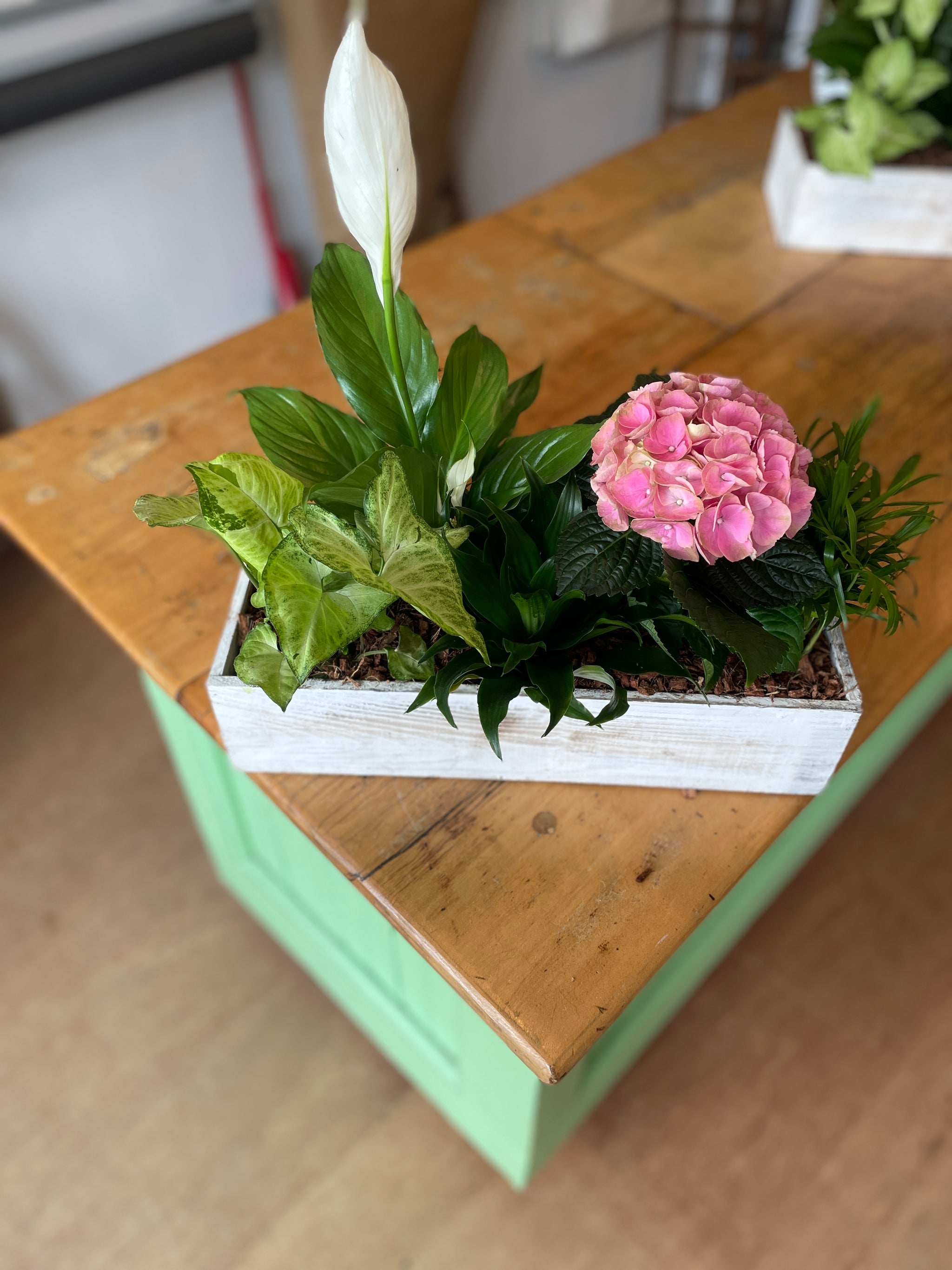 Wooden Hydrangea Mixed Planter