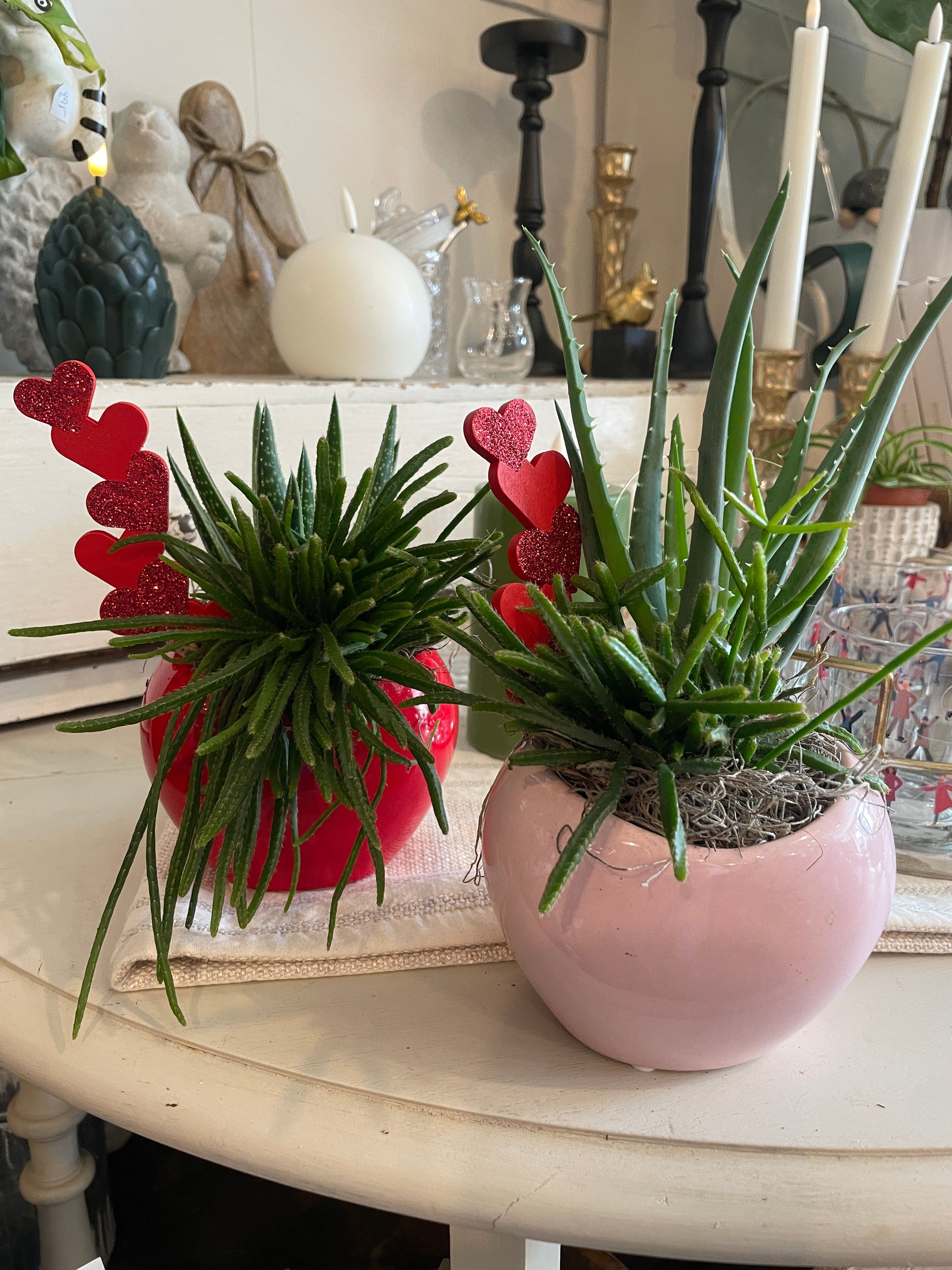 Succulent Heart Planter