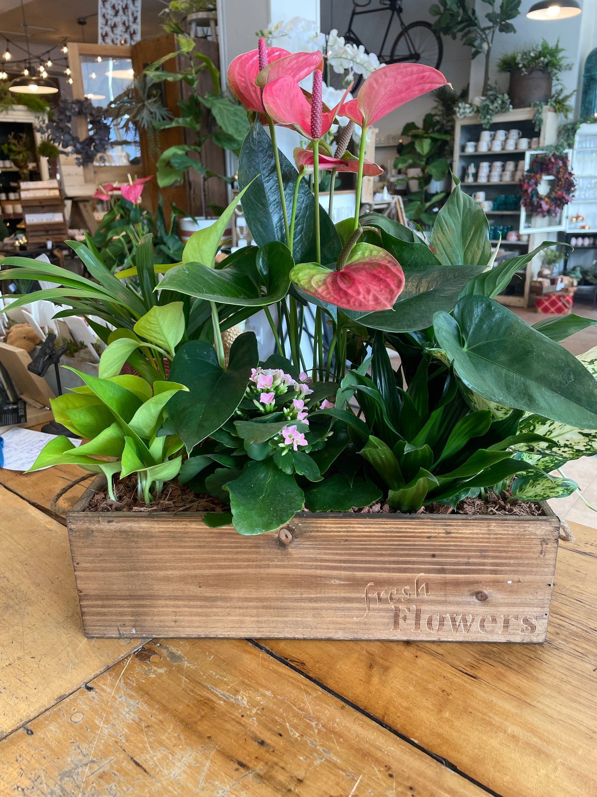 Anthurium Wooden Mixed Planter