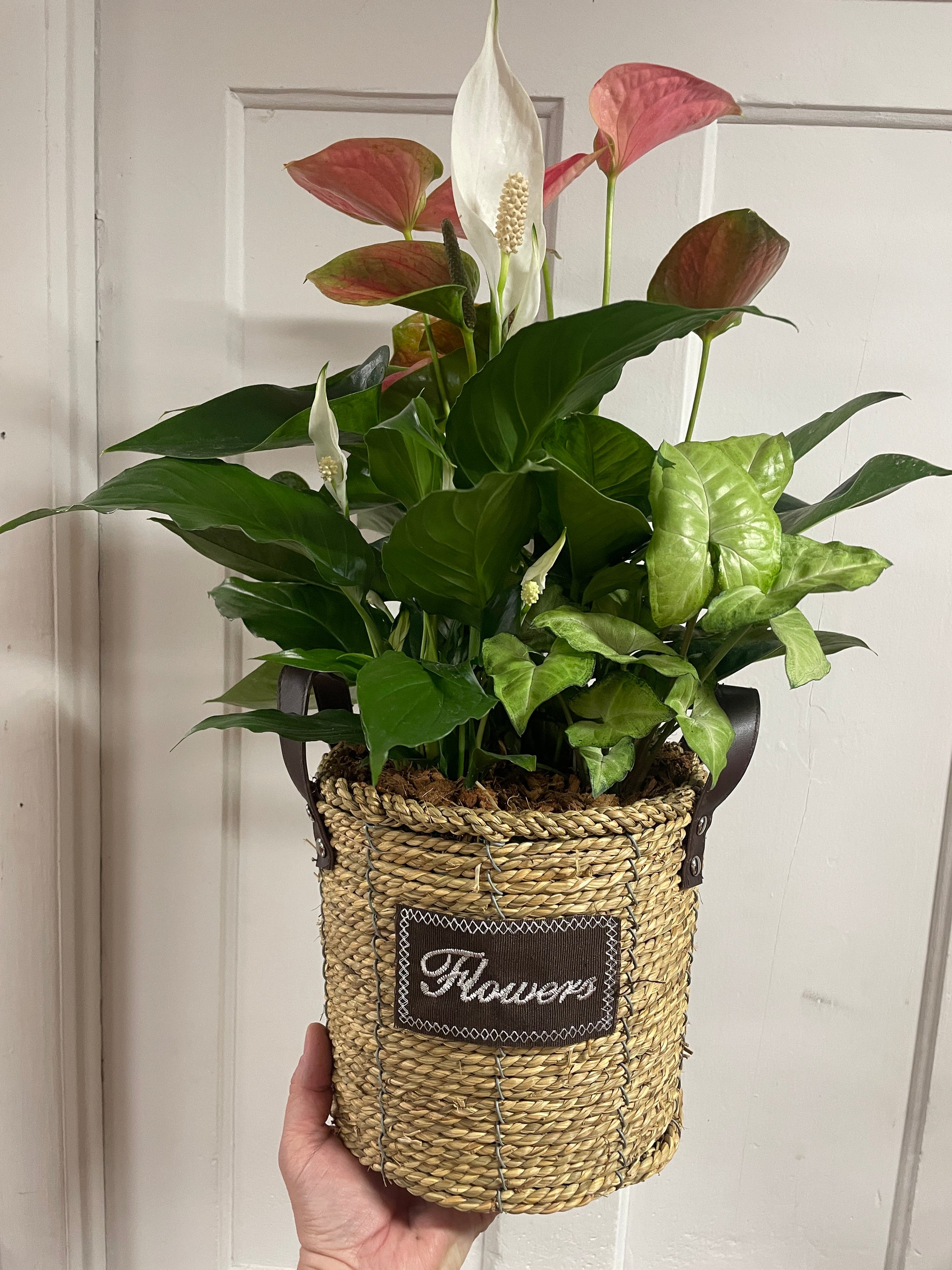 Love in Bloom Planter
