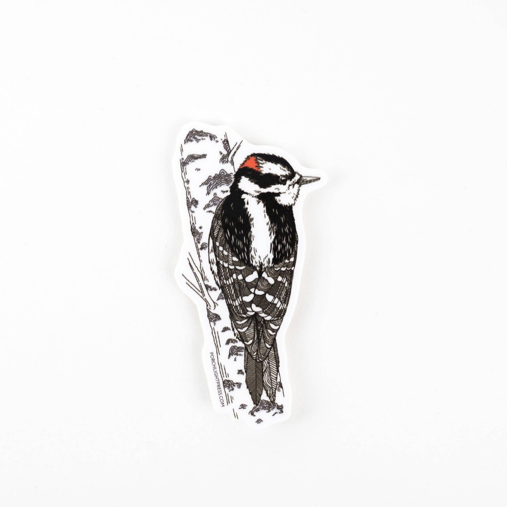 Sticker: Downy Woodpecker