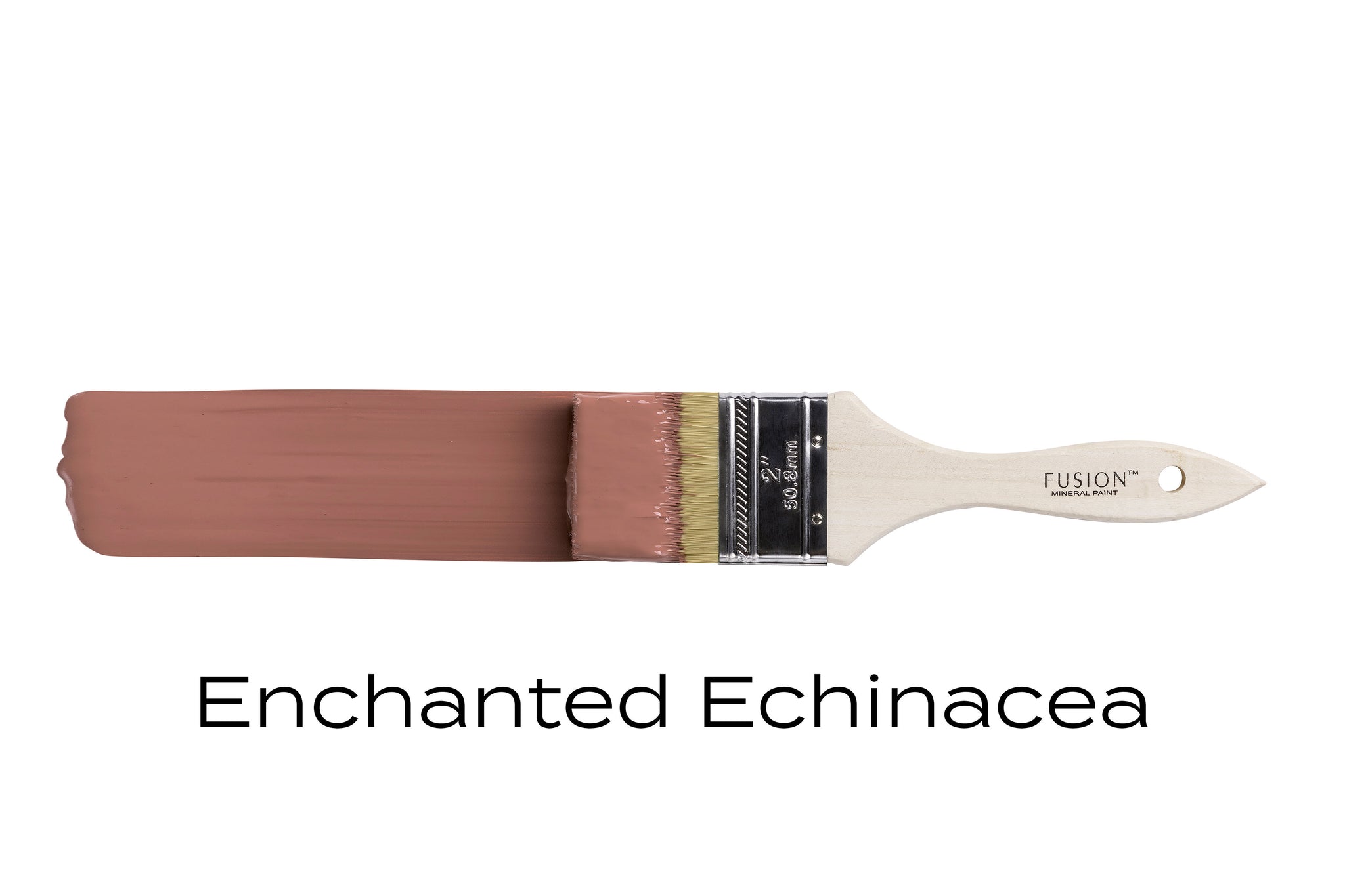 Enchanted Echinacea