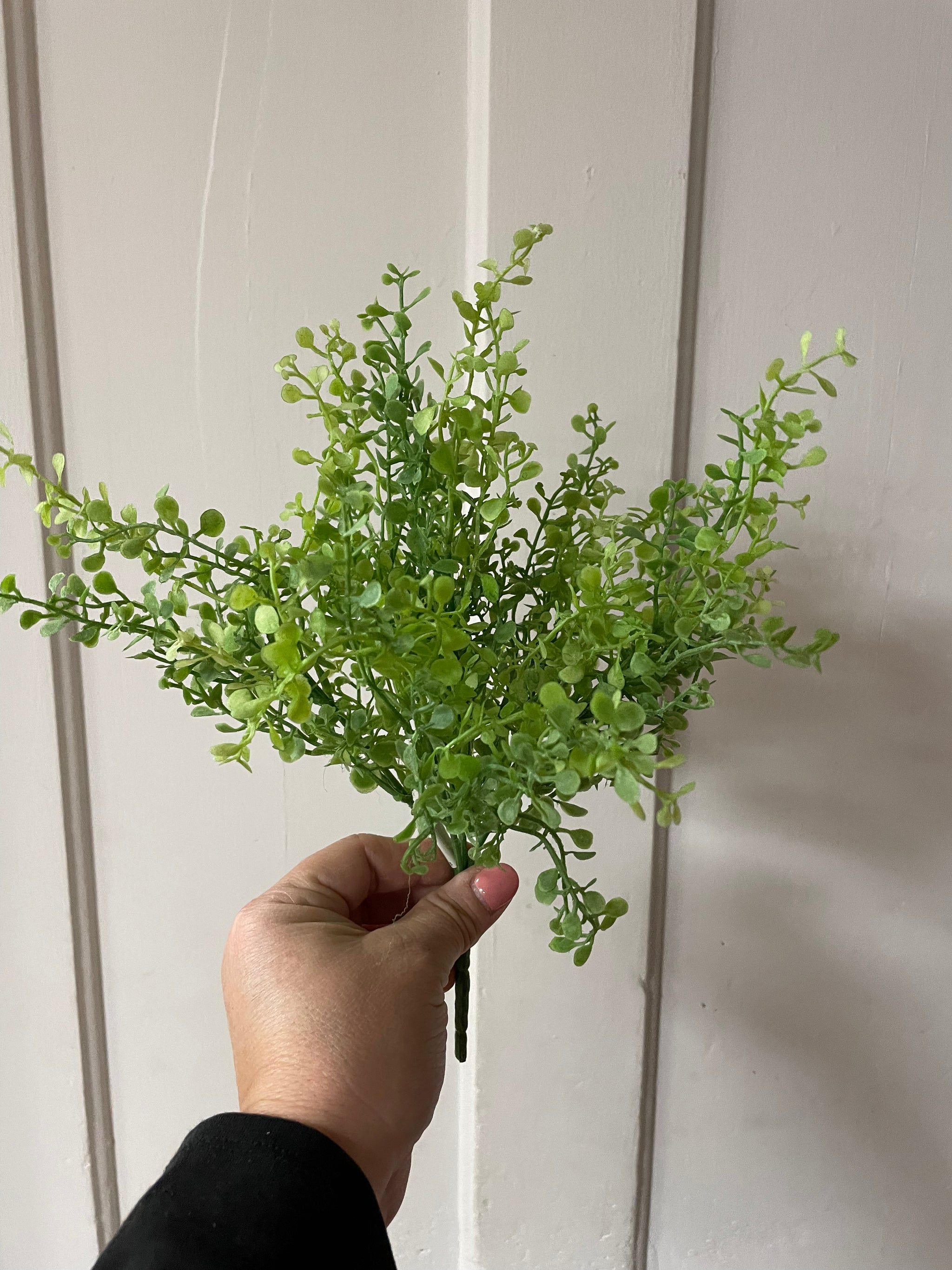 Everlasting Boxwood Leaf Lite Green