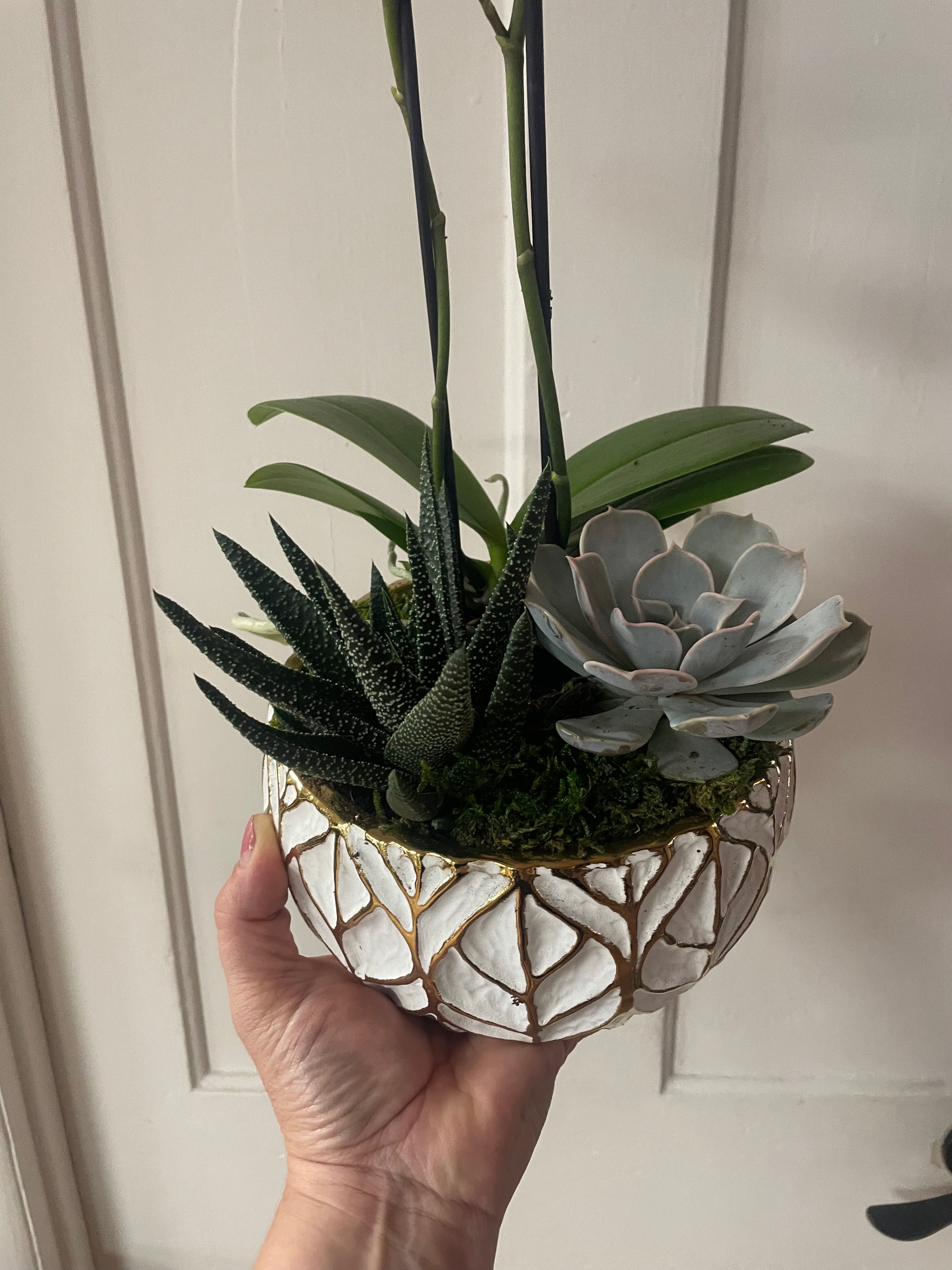 Gold Leaf Succulent Planter with Orchid