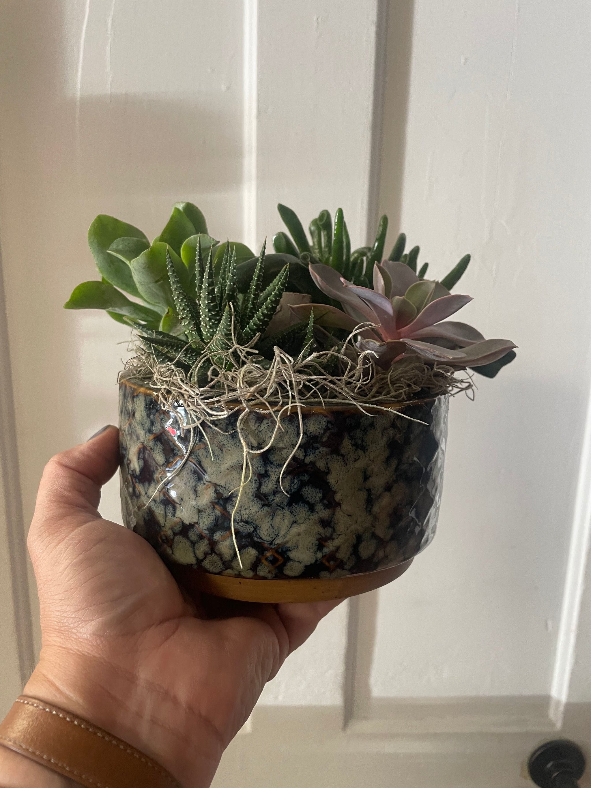 Vintage Succulent Planter